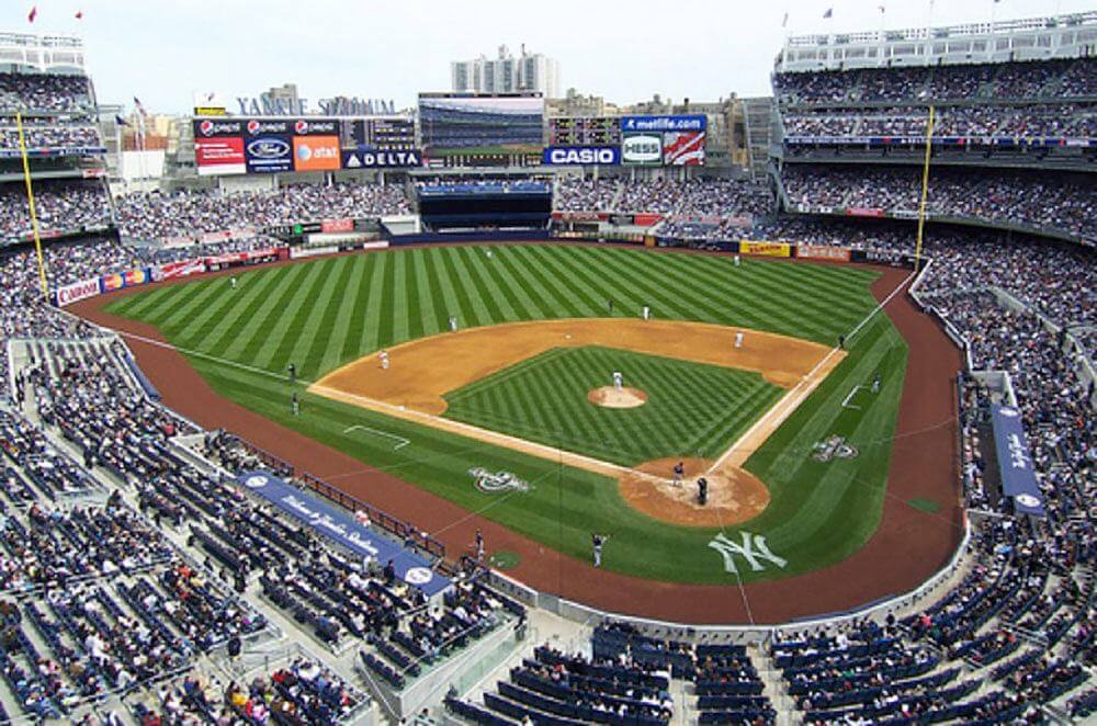 Burma Red Hilltopper Warning Track Mix - Yankee Stadium - New York, NY