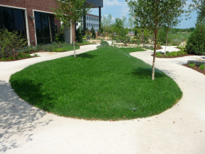 Botticino Marble Stabilized Pathway - Midwest Palliative & Hospice - Glenview, IL