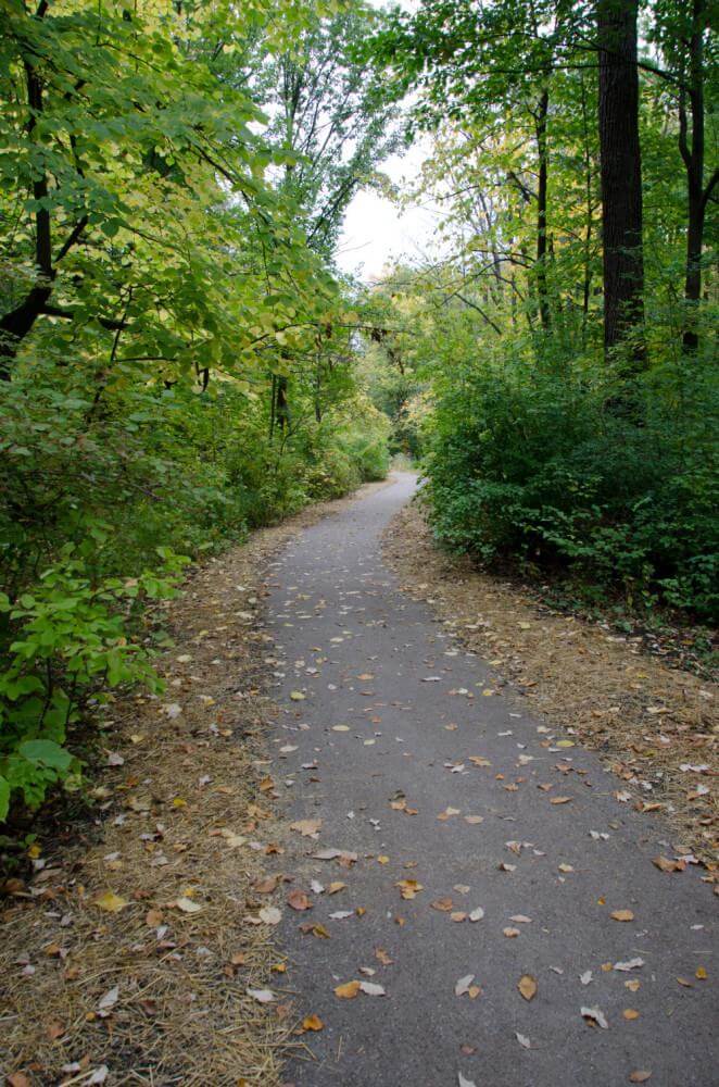 Pewter Granite Stabilized Pathway - Perkins Woods - Evanston, IL