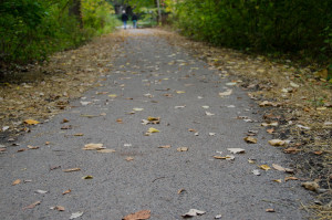 Pewter Granite Stabilized Pathway - Perkins Woods - Evanston, IL