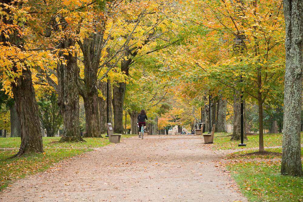 Custom Blend Stabilized Pathway - Kenyon College - Gambier, OH