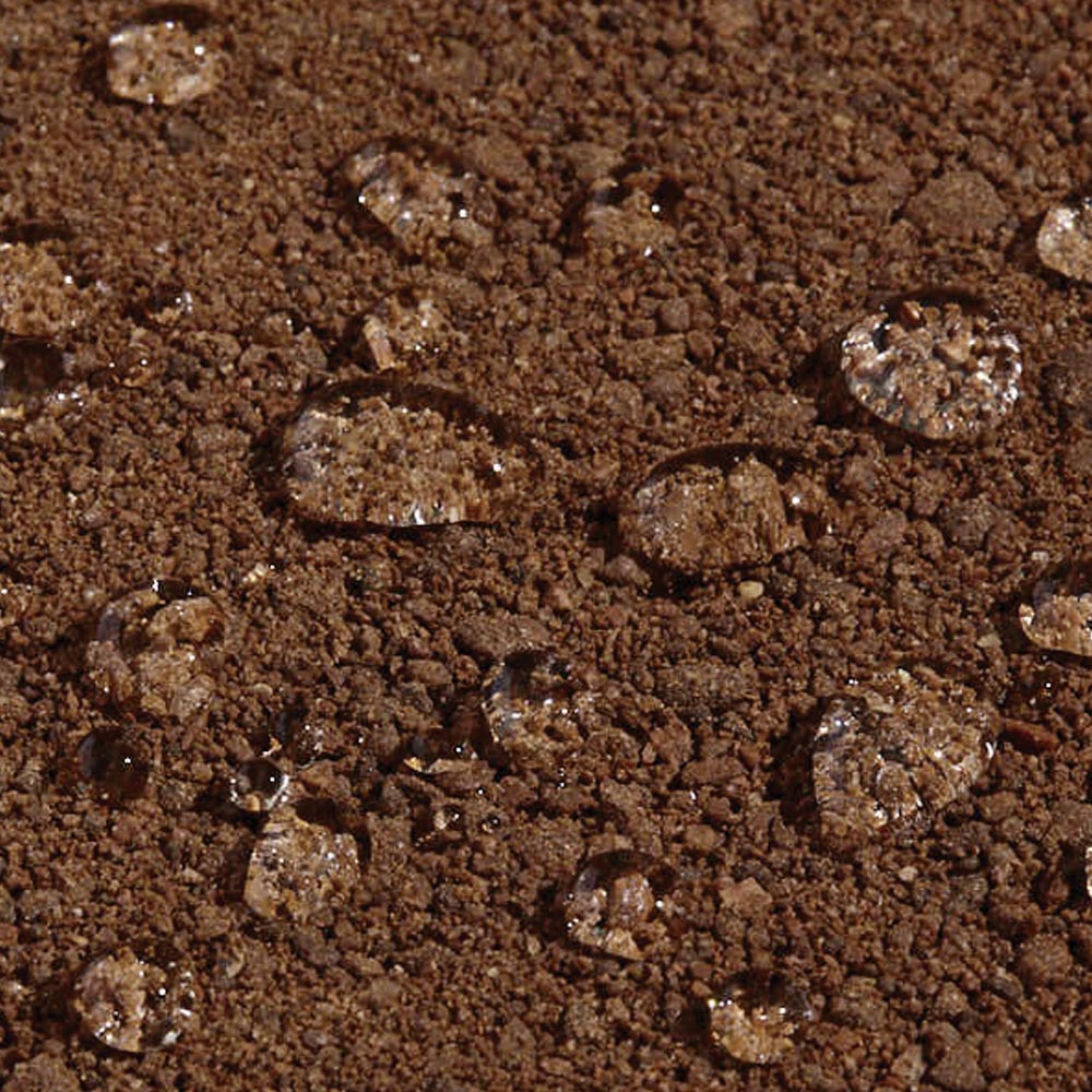 Rustic Wax-Coated Pathway