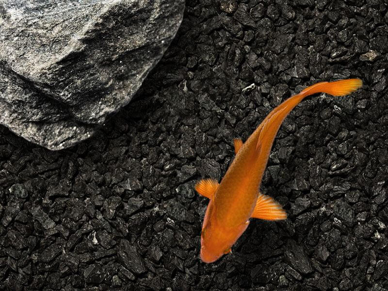 Kafka's specialty aggregate used as aquascape for aquariums