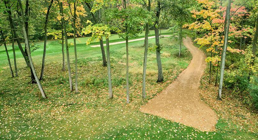 A path made of Wax Polymer Pathway Material is shown.