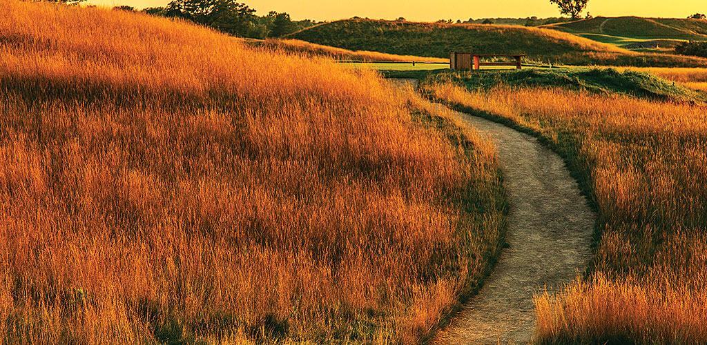 A path made from Kafka Stabilized Pathway Mix is shown winding through tall grasses on a golf course.