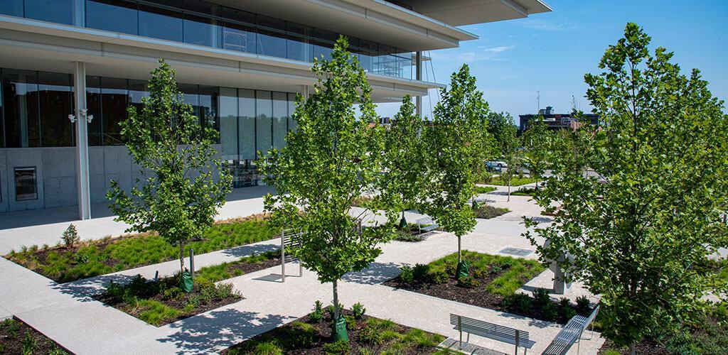 The grounds of Krause Gateway Center Plaza are shown, with beautiful stabilized pathway mix between the garden beds.