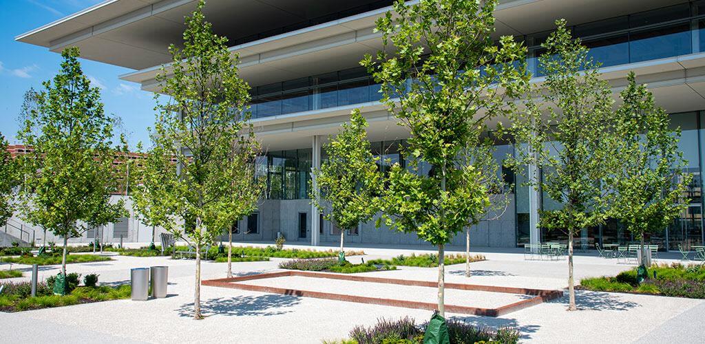 The grounds of Krause Gateway Center Plaza are shown, with beautiful stabilized pathway mix between the garden beds.