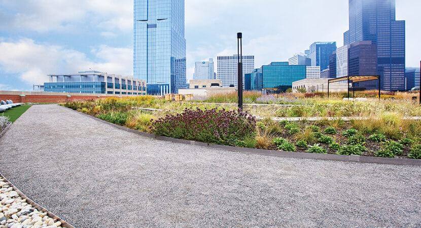 The Meadow, a rooftop oasis in downtown Chicago, is shown from up close with a path curving through the garden beds.