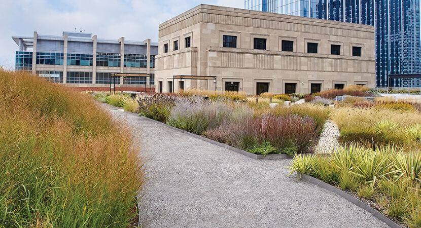 The Meadow, a rooftop oasis in downtown Chicago, is shown from up close with a path curving through the garden beds.
