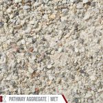 Kafka Misty Gray Marble Pathway shown wet