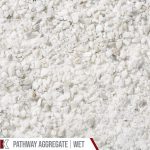 Kafka Polar White Marble Pathway shown wet
