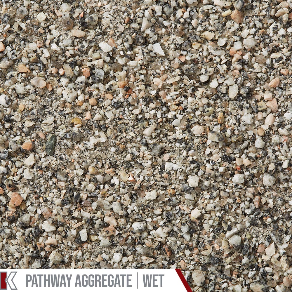 Kafka Salt & Pepper Granite Pathway shown wet