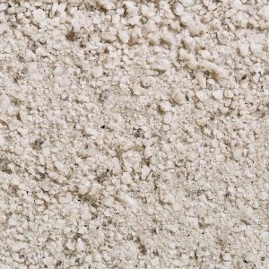 Kafka Frost White Granite Pathway