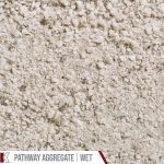 Kafka Frost White Granite Pathway shown wet